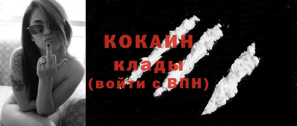 шишки Михайлов