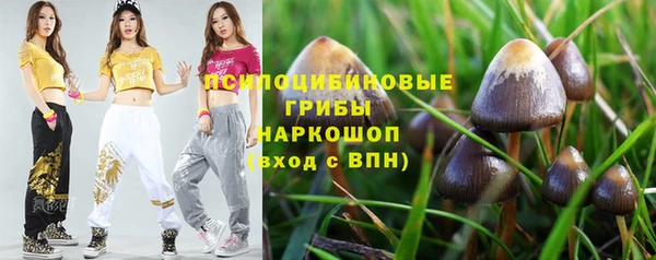шишки Михайлов