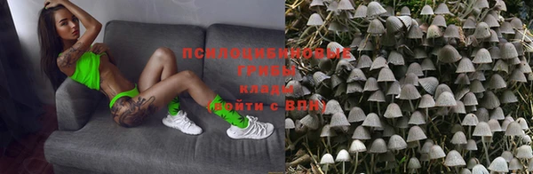 apvp Мегион